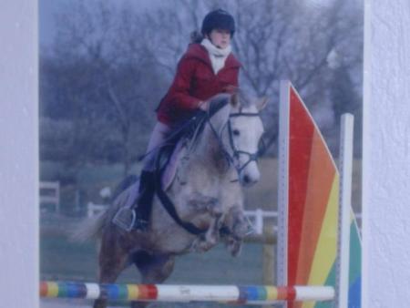 le couple de champion (poney)