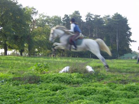 naine et gold au cross