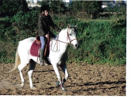 mwa et gold o travail sur le plat