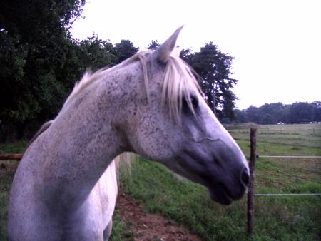ma beauté divine