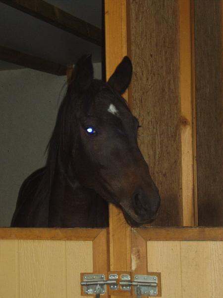 quapricieuse